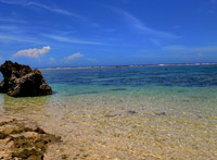 �l�ʂ��C�Ɉ͂܂ꂽ���{