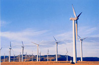 �����ɂ�����Ζ��A�ΒY�A�V�R�K�X�Ȃǂ̃G�l���M�[�������L�x